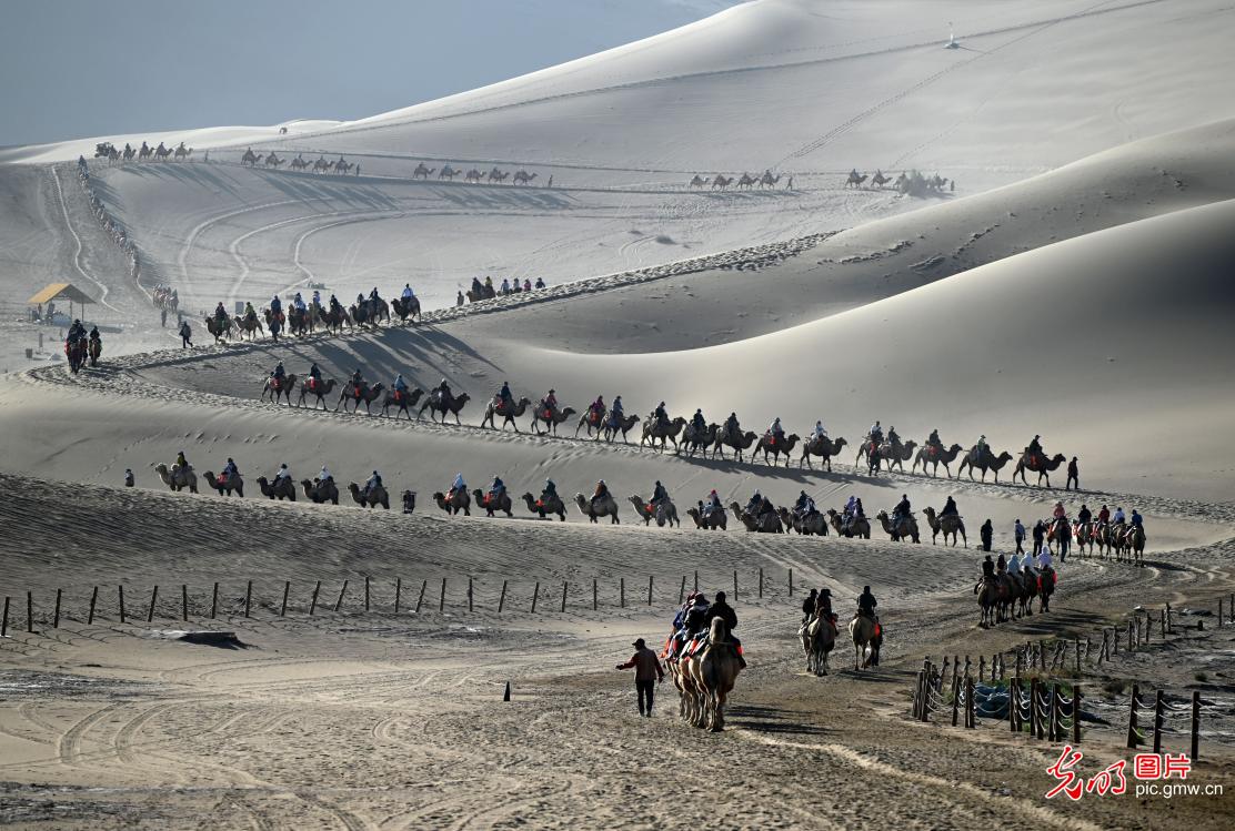 秋高气爽游大漠