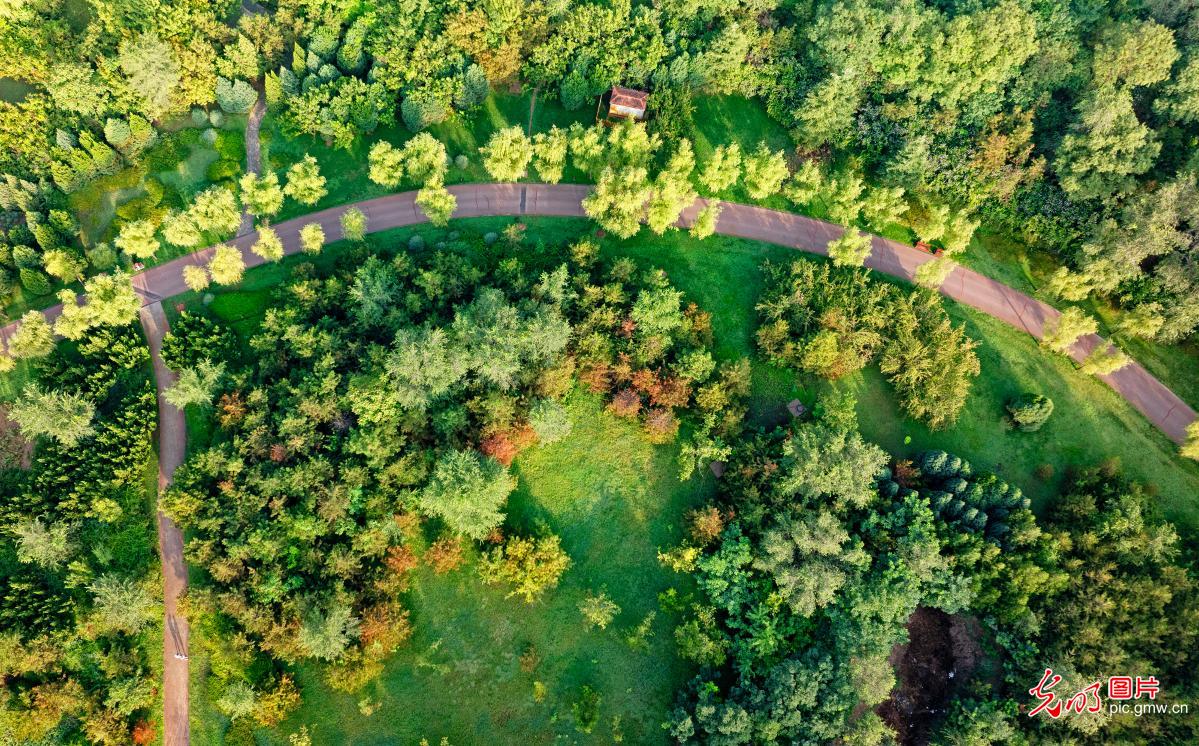 初秋美景入画来