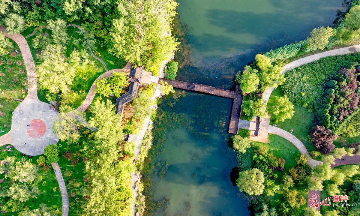 初秋美景入画来