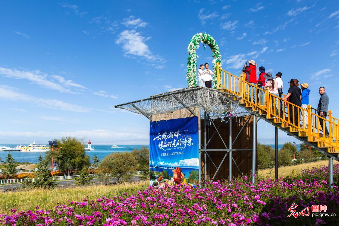 金秋青海湖美景引客来