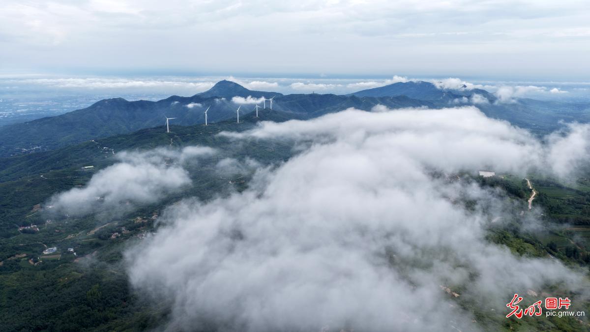 秋雨绘就具茨山云海画卷