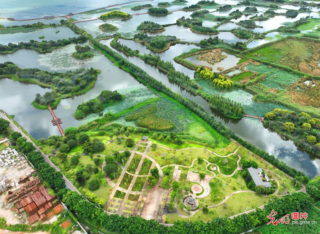 异龙湖生态景色美如画 异龙湖生态景色美如画