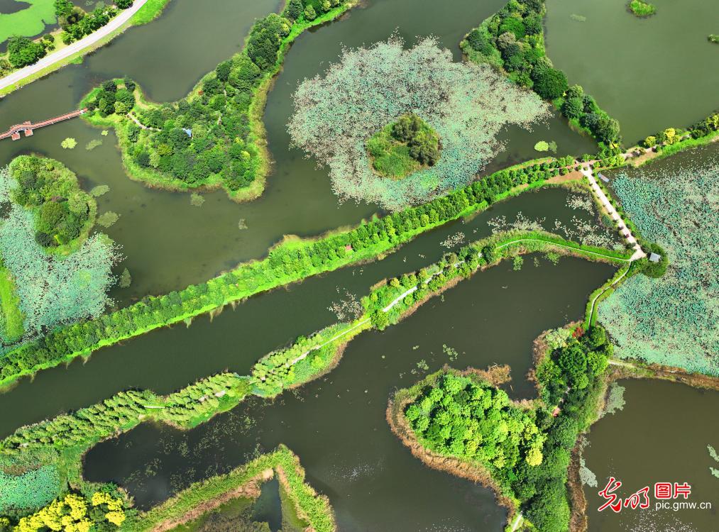 异龙湖生态景色美如画 异龙湖生态景色美如画