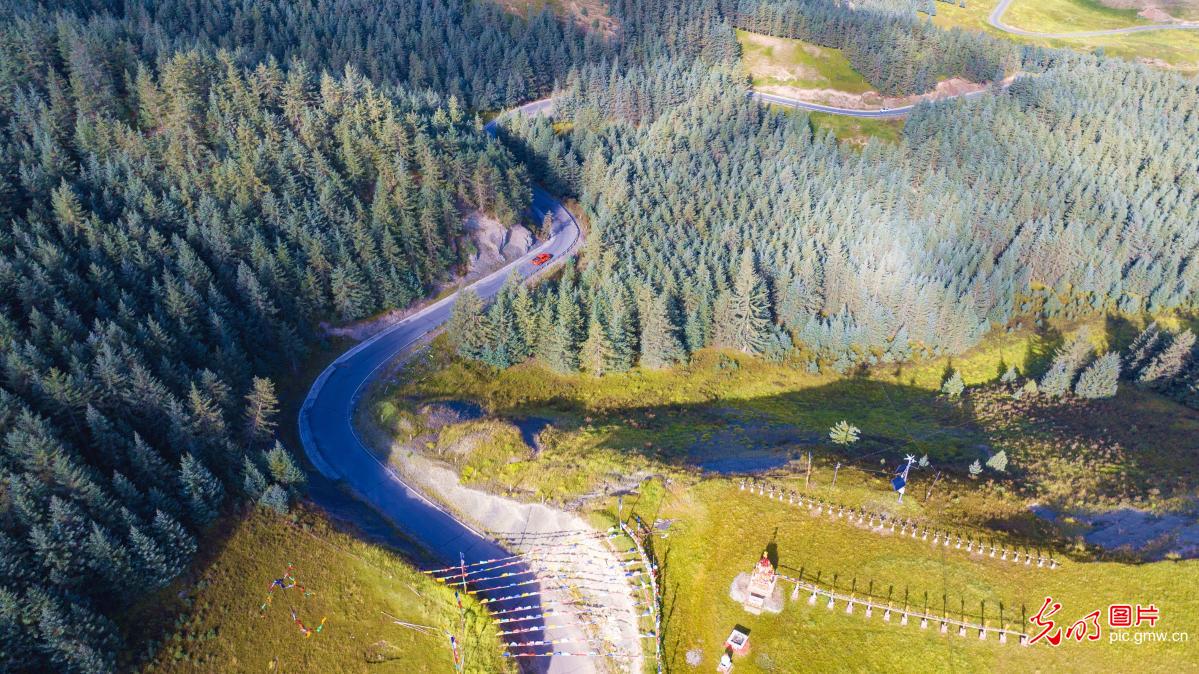 山路通畅促振兴 山路通畅促振兴