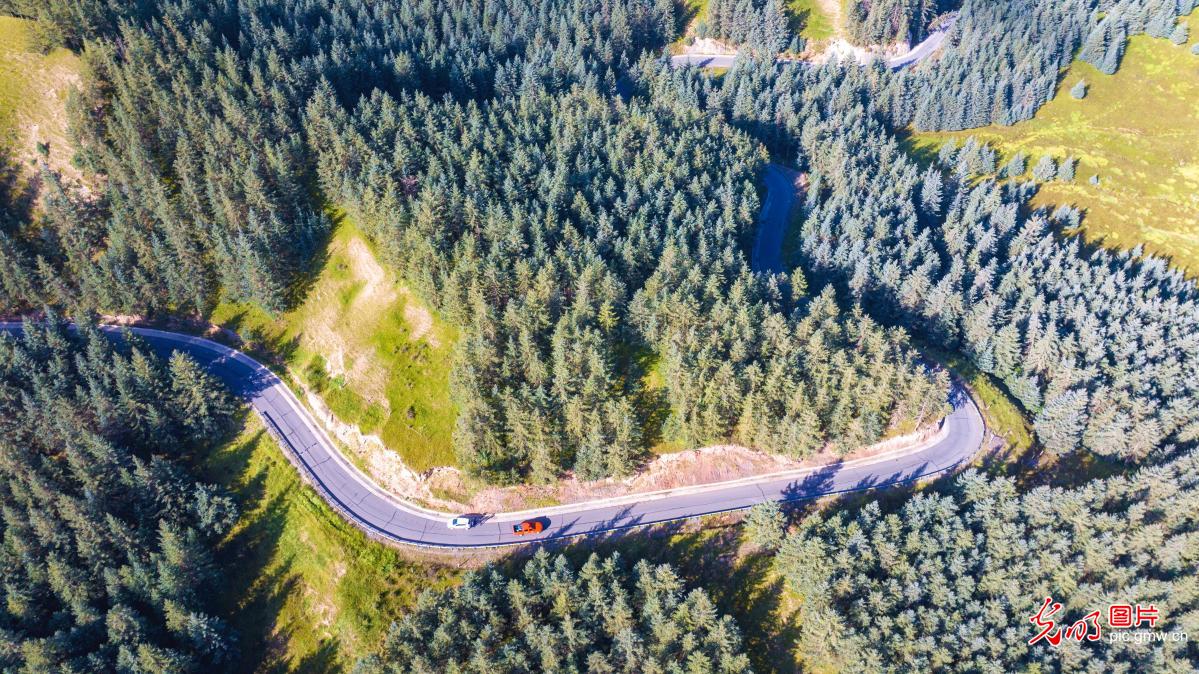 山路通畅促振兴 山路通畅促振兴