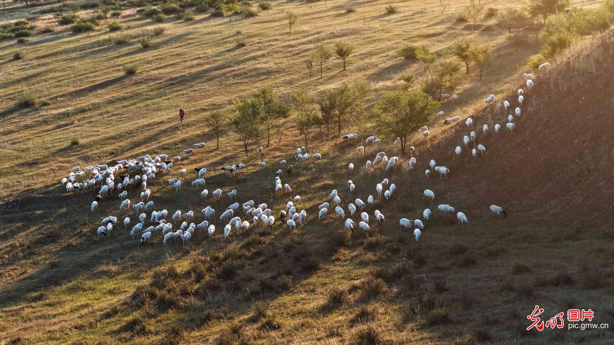 坝上秋日美如画