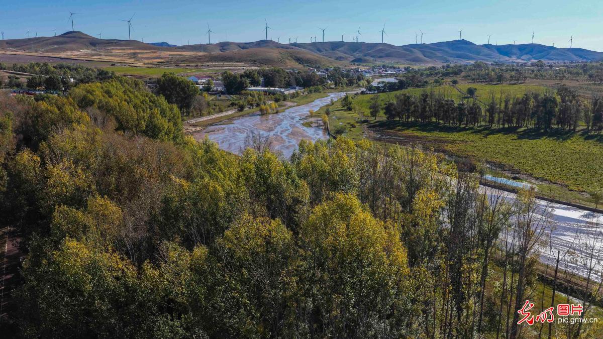 坝上秋日美如画