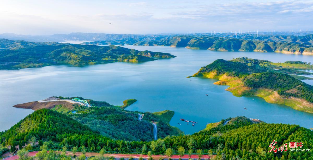 黄河岸边生态美 黄河岸边生态美