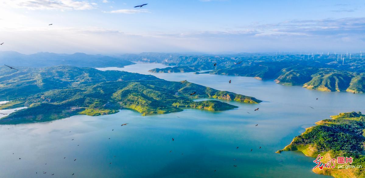 黄河岸边生态美 黄河岸边生态美