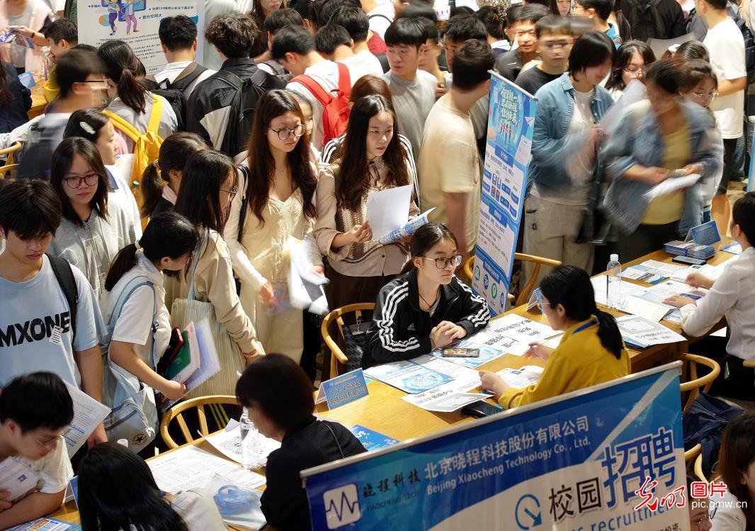 校园招聘会助力大学生就业