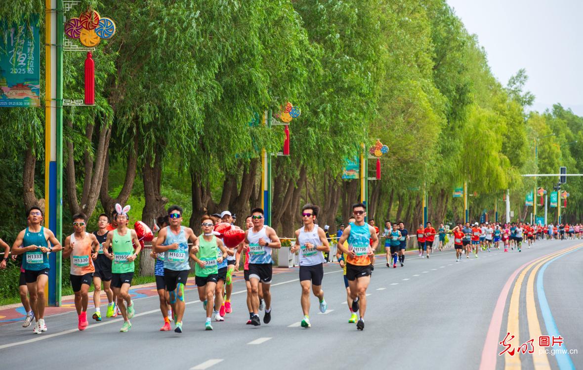 各地马拉松周末开跑