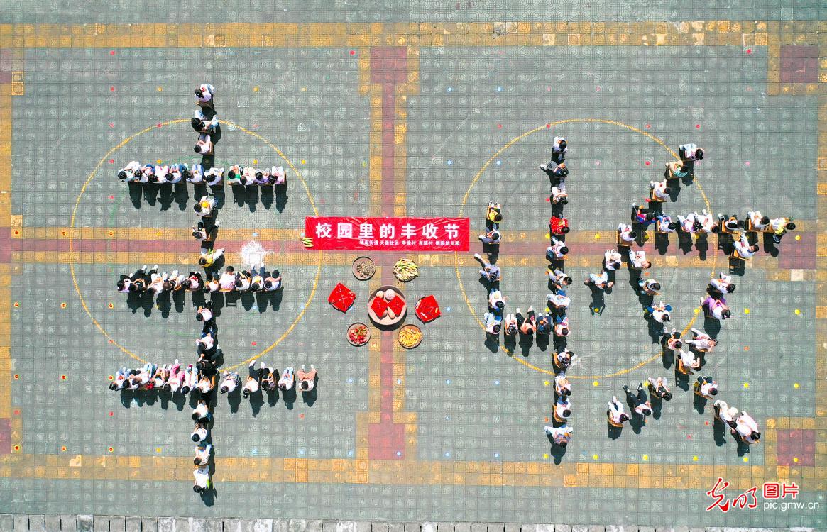 趣味游戏迎丰收 劳动教育润童心