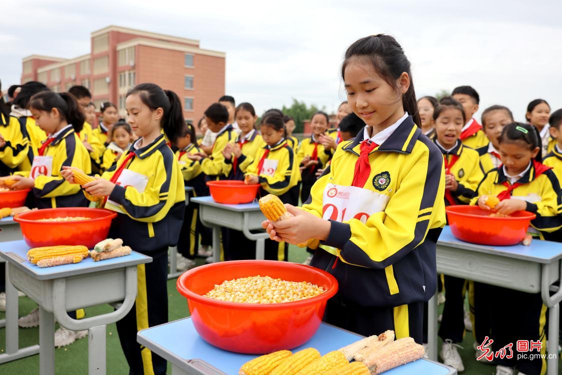 趣味游戏迎丰收 劳动教育润童心