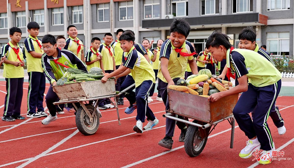 趣味游戏迎丰收 劳动教育润童心