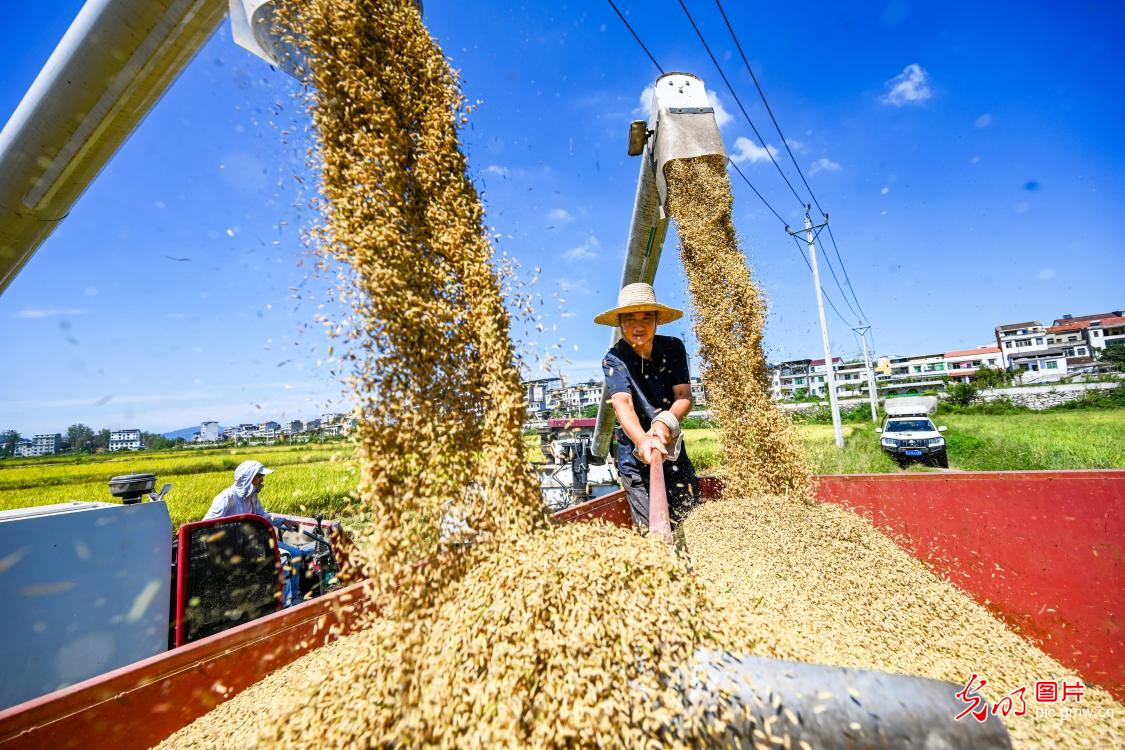 “丰”景如画 “农”墨重彩
