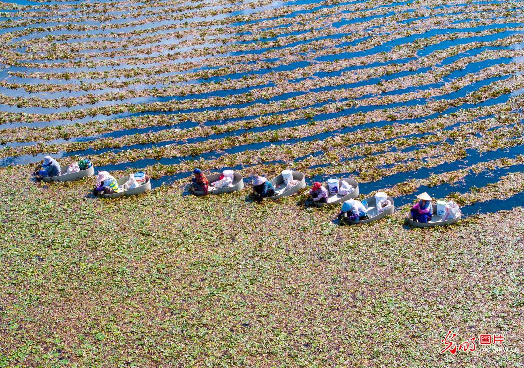 “丰”景如画 “农”墨重彩 “丰”景如画 “农”墨重彩