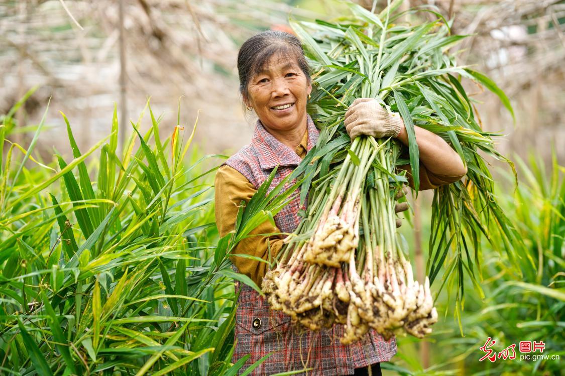 “丰”景如画 “农”墨重彩