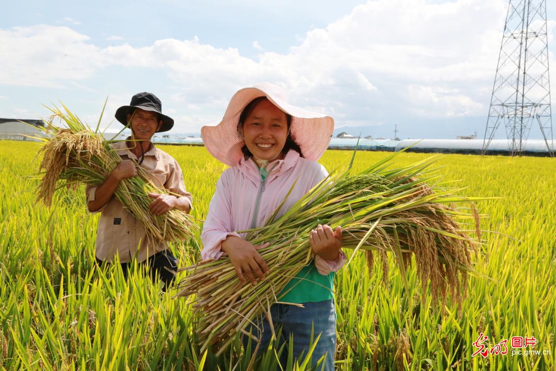 “丰”景如画 “农”墨重彩