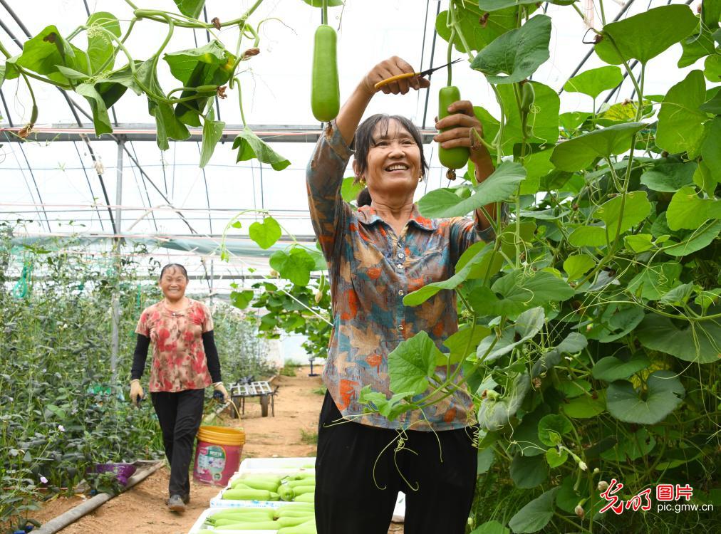 “丰”景如画 “农”墨重彩 “丰”景如画 “农”墨重彩