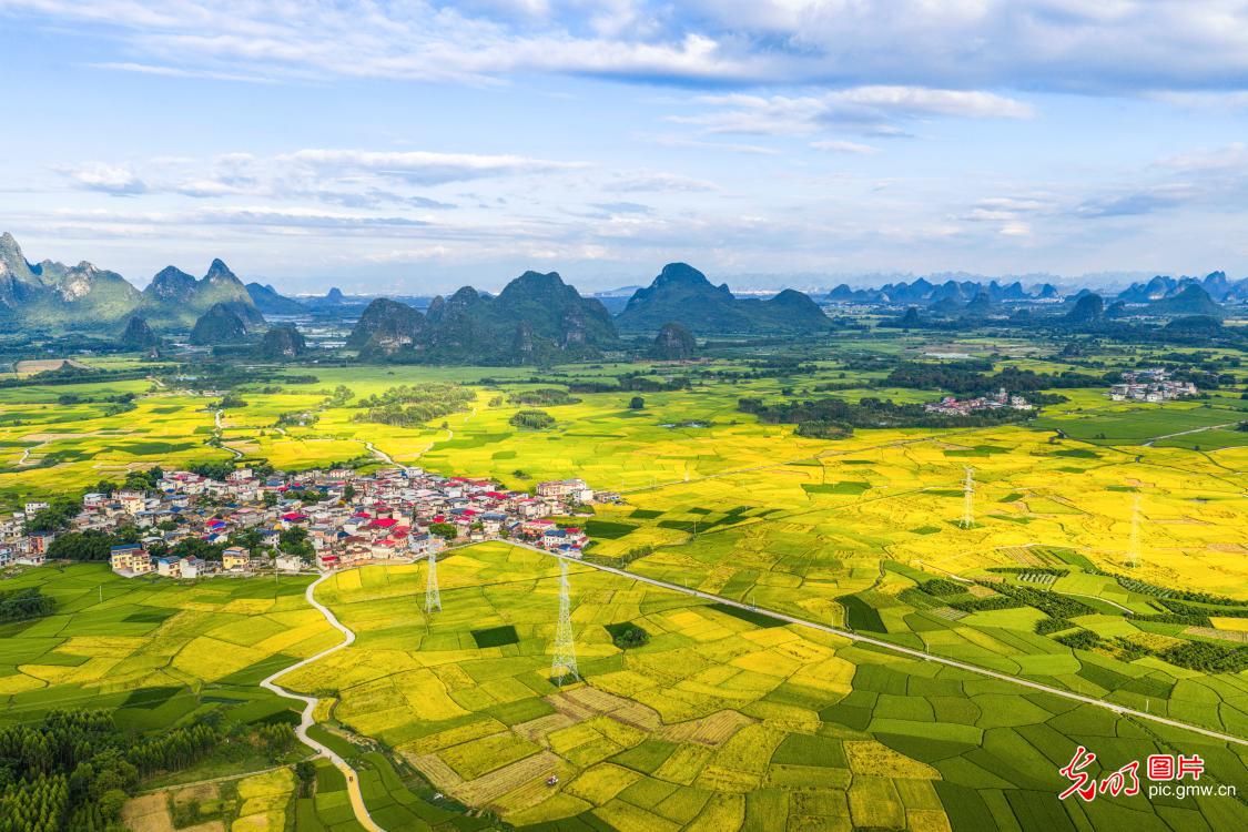 “丰”景如画 “农”墨重彩 “丰”景如画 “农”墨重彩