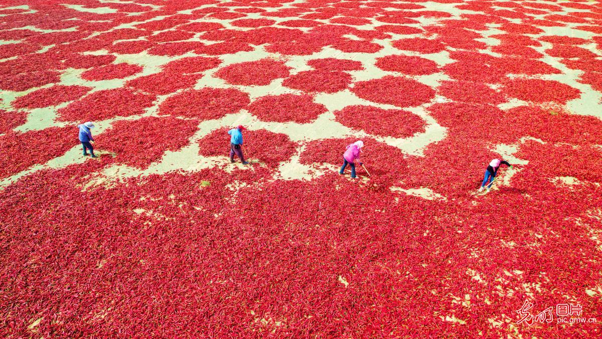 “丰”景如画 “农”墨重彩