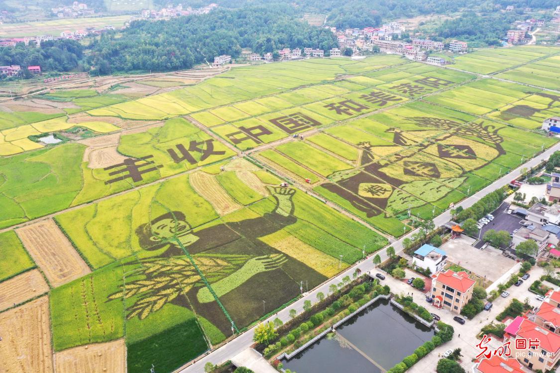 “丰”景如画 “农”墨重彩