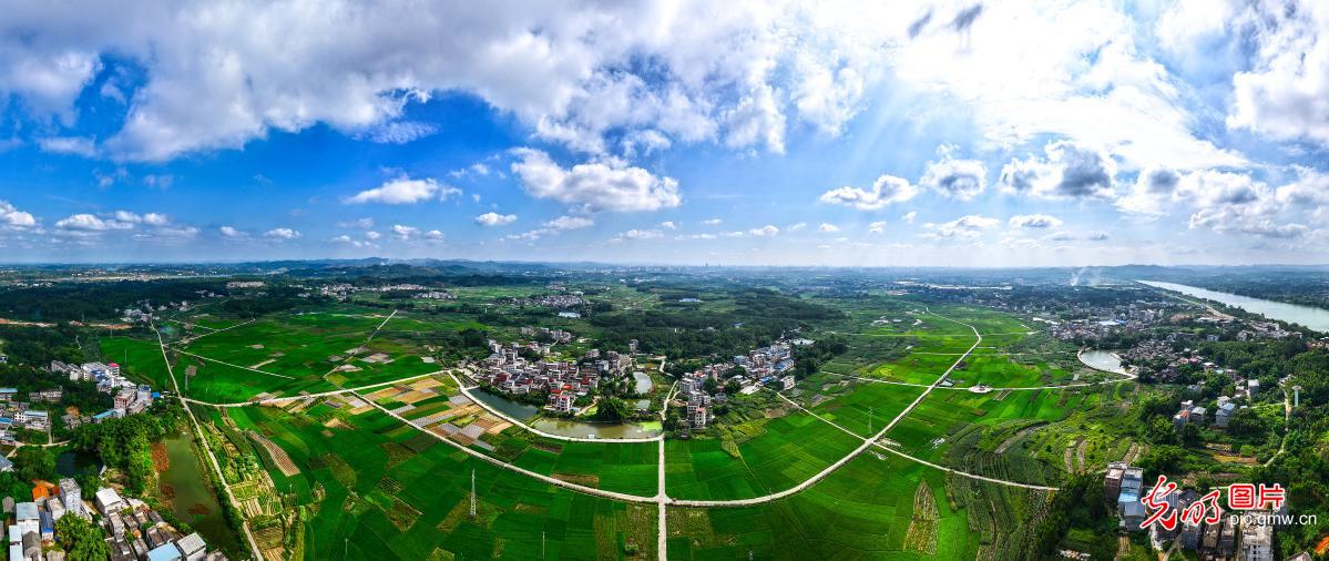 南宁三江口秋色宜人