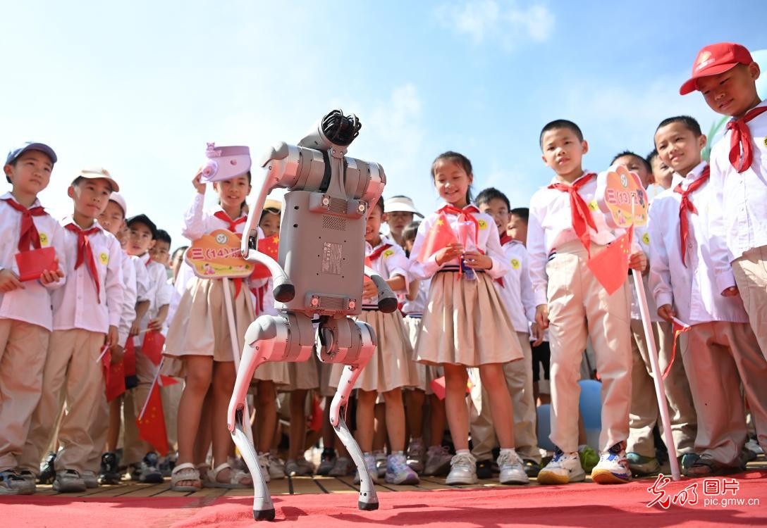 多彩活动点亮“全国科普月”