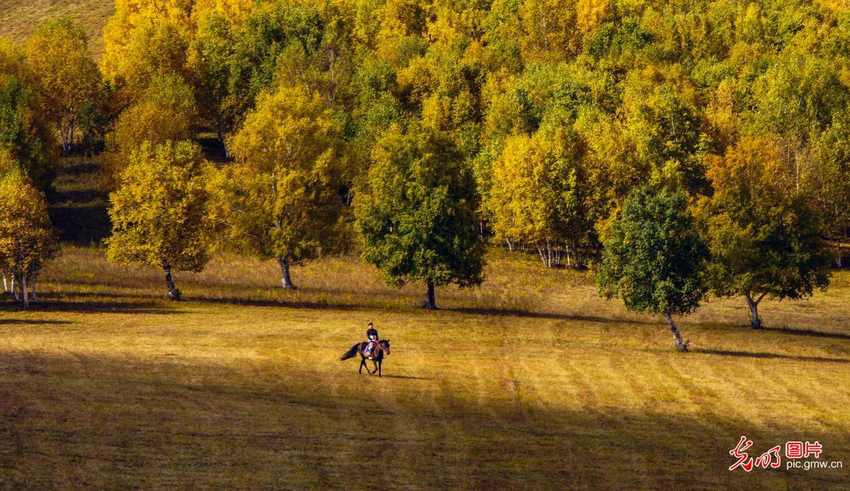 坝上草原秋意浓