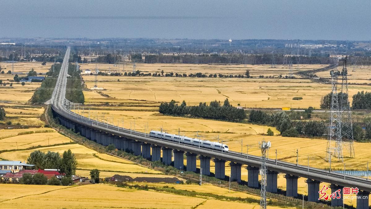 大国粮仓绘就金秋最美丰收景