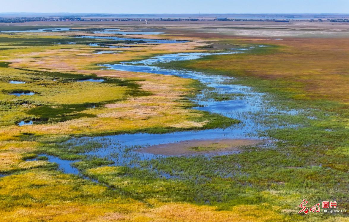 内蒙古图牧吉国家级自然保护区秋景如画