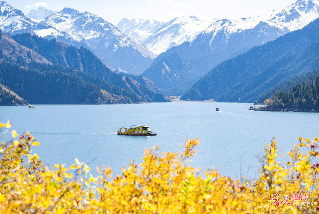 层林尽染 天山天池迎最美赏秋季