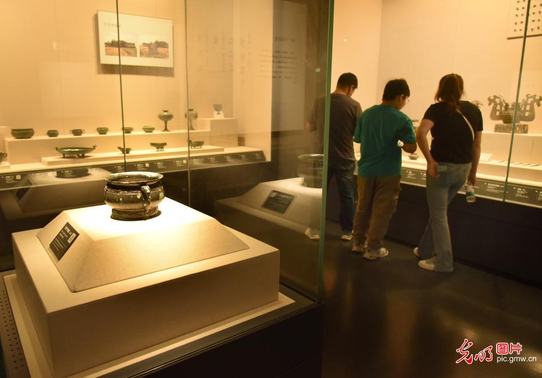 “打卡”博物馆 假期新风尚