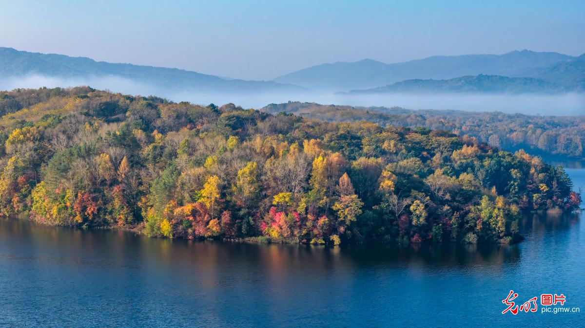 金秋拉林河日出时分美如画