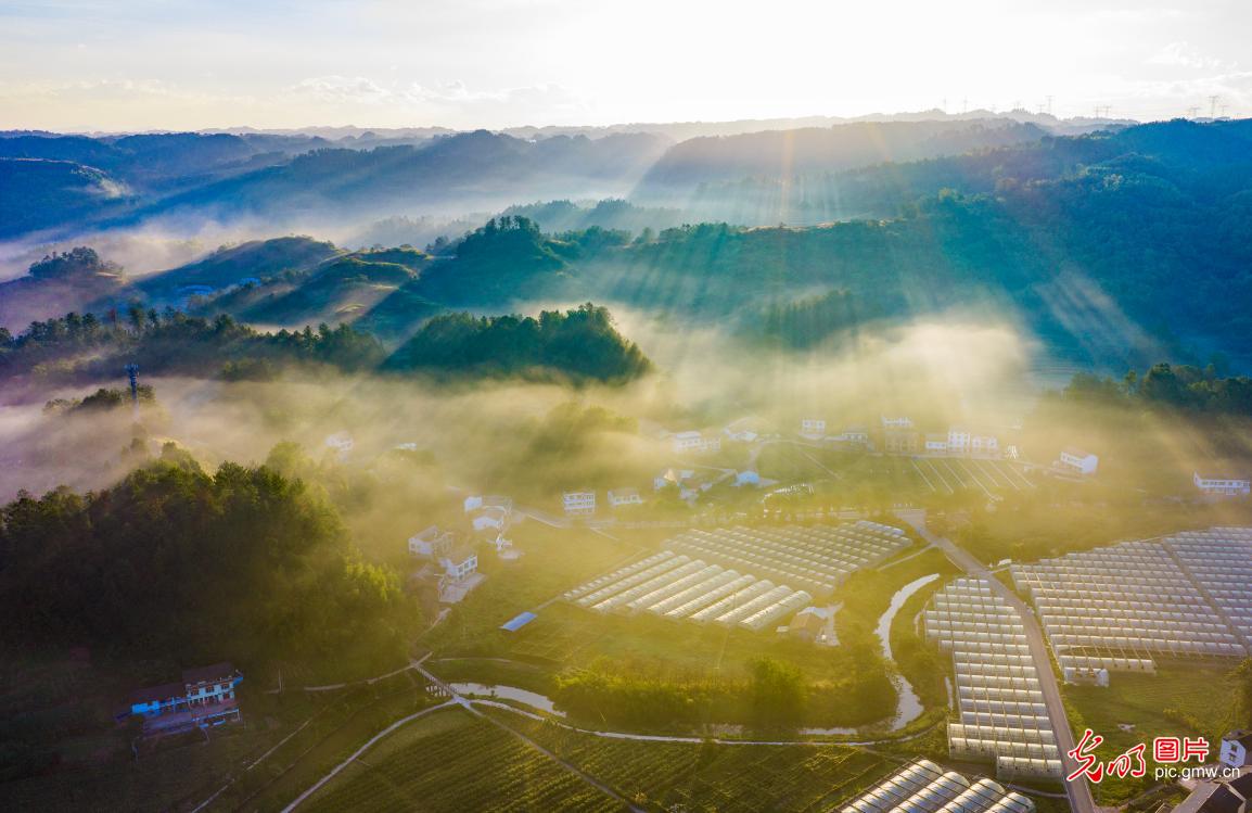 光影乡村美如画