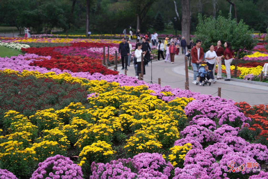 “赏花 +” 点亮双节文旅