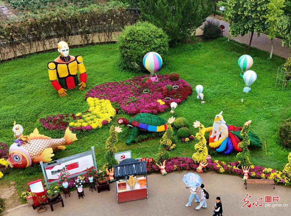 “赏花 +” 点亮双节文旅