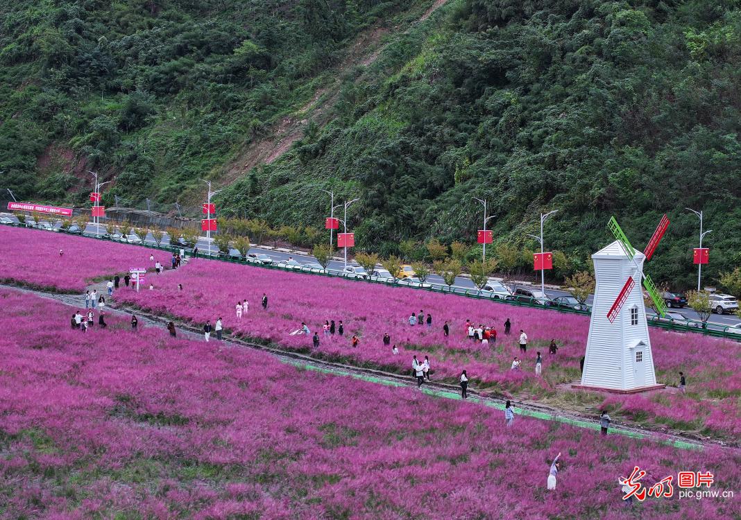 “赏花 +” 点亮双节文旅