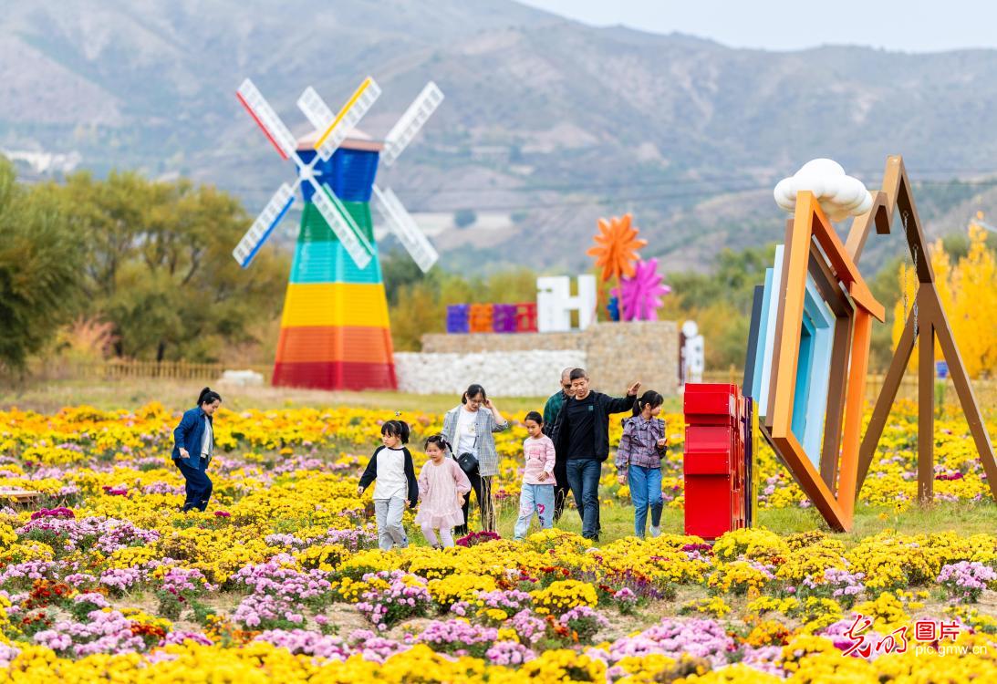 “赏花 +” 点亮双节文旅