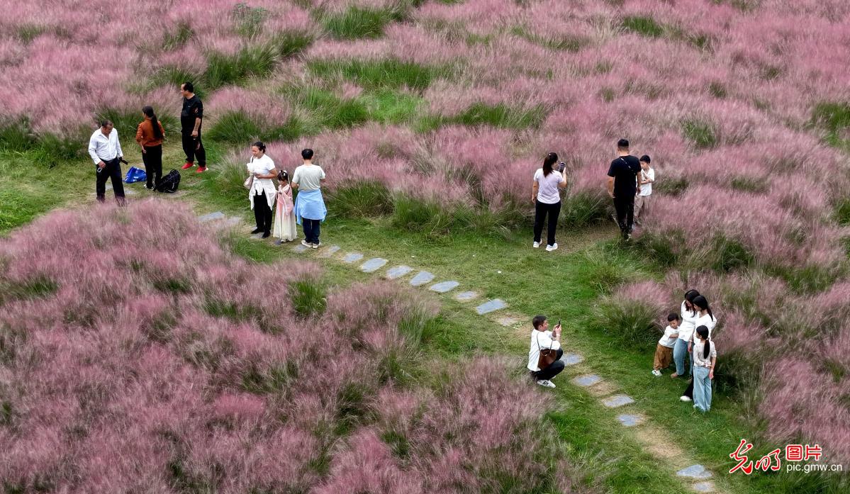 “赏花 +” 点亮双节文旅