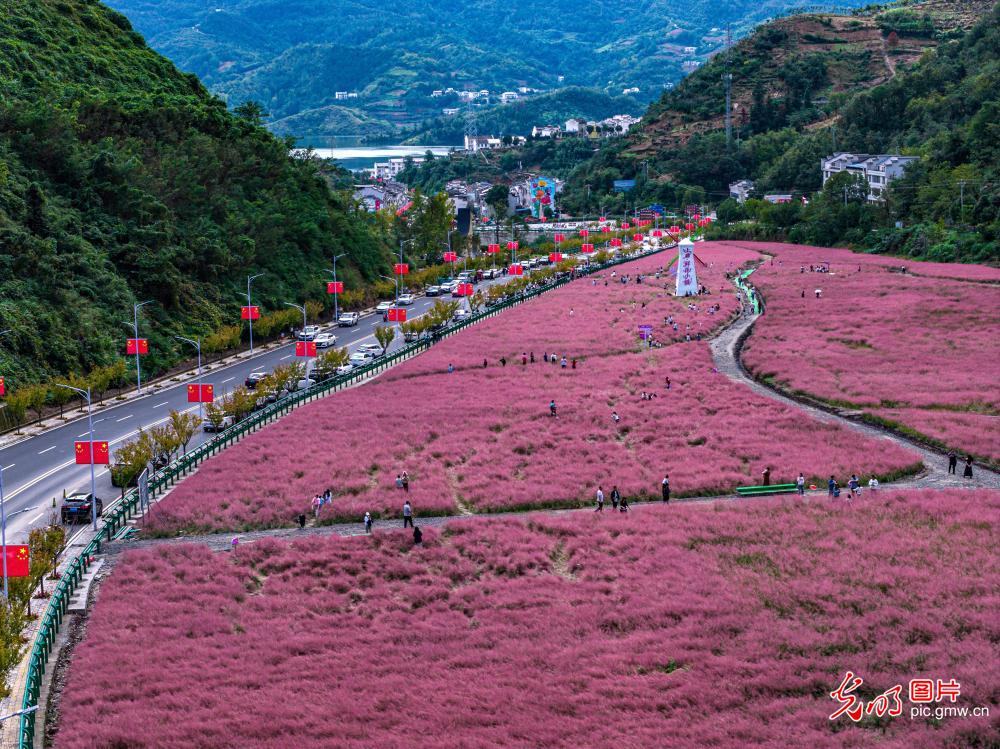 秋日多地花海 游客赏景兴浓