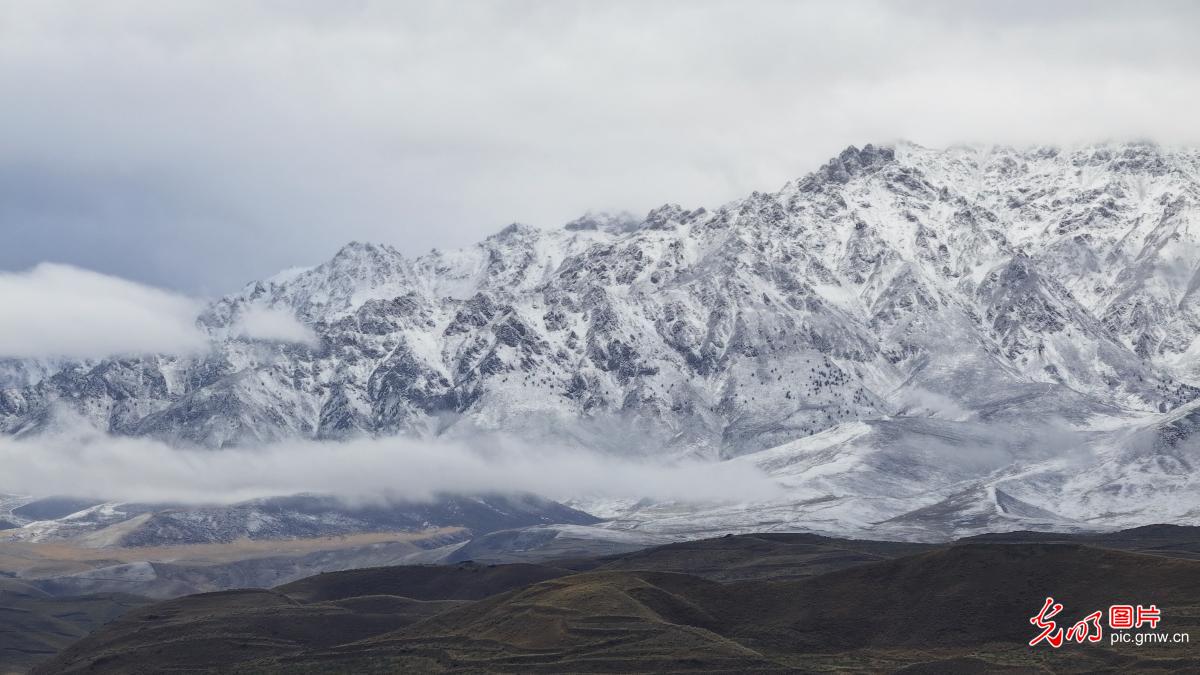 祁连山下秋色惹人醉