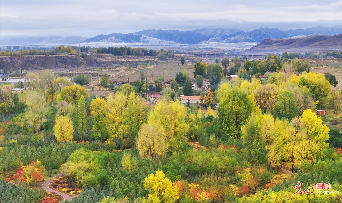 祁连山下秋色惹人醉