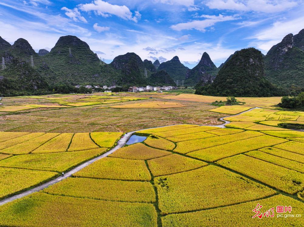 瞰金秋沃野 绘就新丰收图鉴 瞰金秋沃野 绘就新丰收图鉴