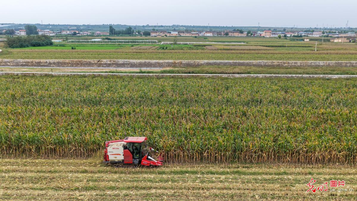 瞰金秋沃野 绘就新丰收图鉴 瞰金秋沃野 绘就新丰收图鉴