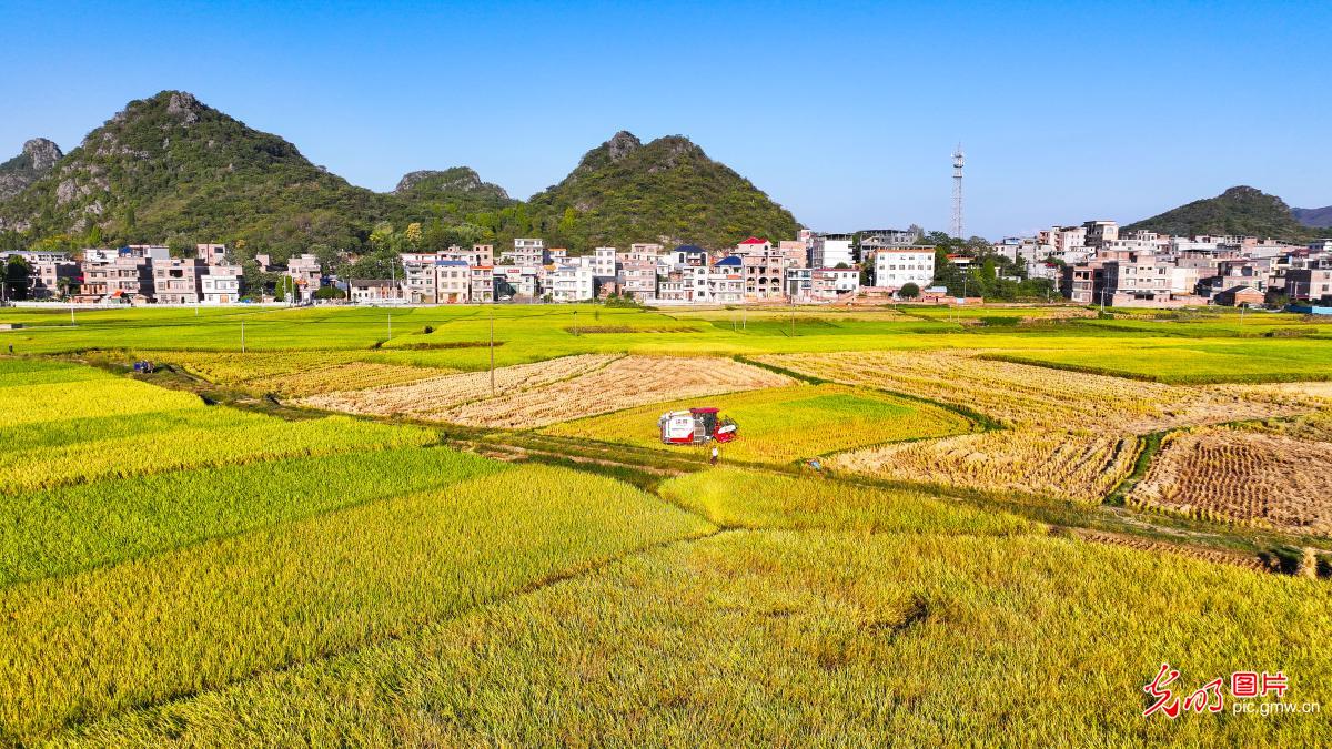 瞰金秋沃野 绘就新丰收图鉴 瞰金秋沃野 绘就新丰收图鉴