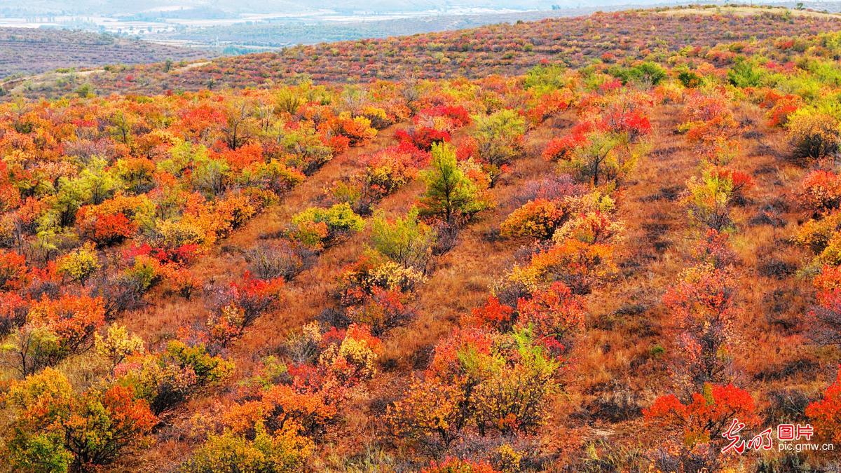 山河铺彩卷 文旅聚人气