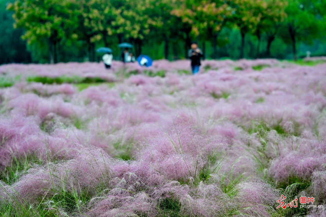 山河铺彩卷 文旅聚人气