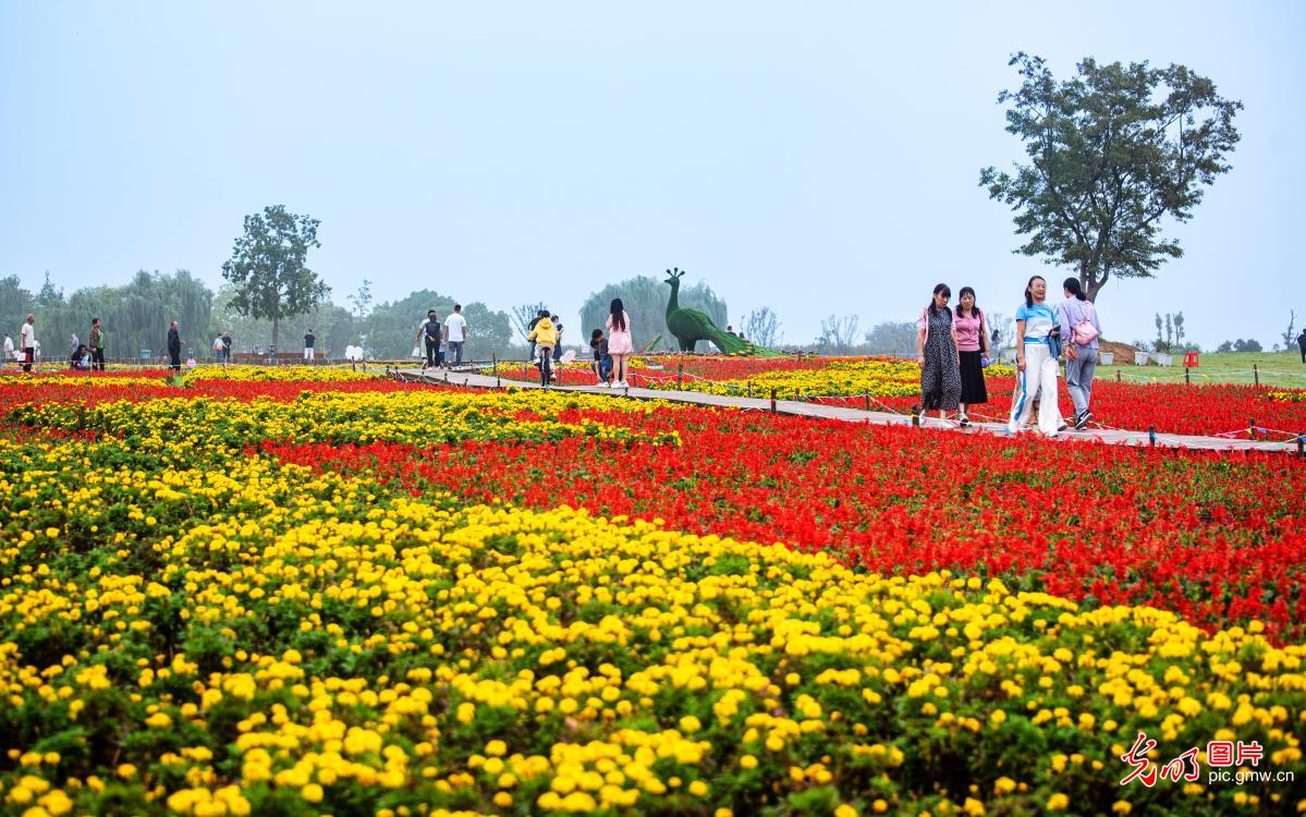 山河铺彩卷 文旅聚人气
