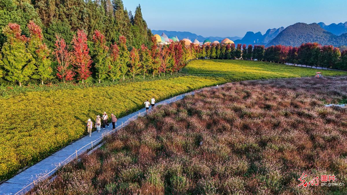 山河铺彩卷 文旅聚人气